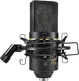 MXL 770 Condenser XLR Microphone (B tier)