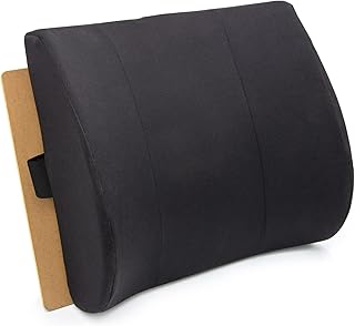 DMI Lumbar Support Pillow for Chair (B tier)