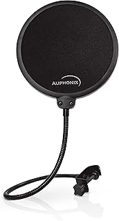 Pop Filter for Mic 6-inch Diameter Dual Layered (A tier)