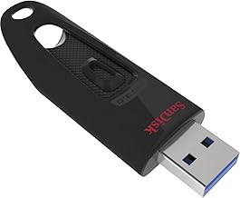 SanDisk Ultra 256GB USB 3.0 Flash Drive (B tier)