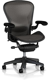 Herman Miller Aeron Chair Size C (S tier)