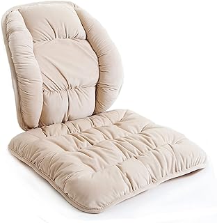 ALIBO Warm Low Back Lumbar Support (D tier)