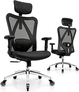 Duramont Ergonomic Office Chair (B tier)