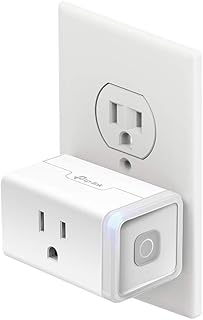 Kasa Smart Plug 15A HS103 (B tier)