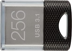 PNY Elite-X Fit 256GB USB 3.1 Flash Drive (B tier)
