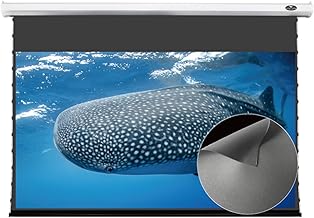 Vivid Storm 120-inch ALR Motorized Projector Screen (B tier)