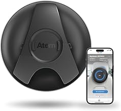 IQAir Atem Car Portable HEPA Air Purifier (B tier)