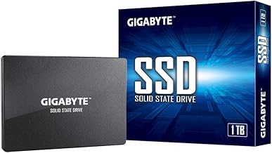 GIGABYTE 1TB SATA SSD (D tier)