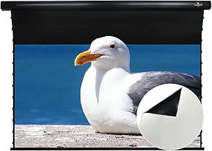 VIVIDSTORM 120-inch Electric Tab-Tensioned Pull Down Projector Screen (B tier)