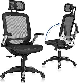 GABRYLLY Ergonomic Office Chair Black (B tier)