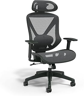 Staples Dexley Ergonomic Task Chair (C tier)
