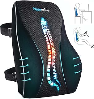Niceeday Lumbar Support Pillow (A tier)