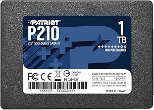 Patriot P210 1TB SATA SSD (C tier)