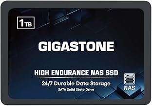 Gigastone 1TB SATA SSD (C tier)