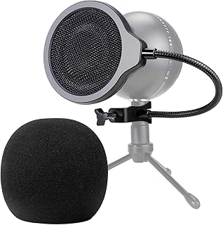 Snowball Mic Pop Filter (B tier)