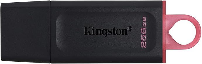 Kingston DataTraveler Exodia 256GB USB 3.2 Flash Drive (B tier)