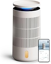 Blueair Pro Air Purifier & Humidifier (C tier)