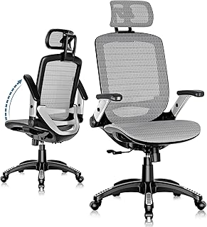 GABRYLLY Ergonomic Office Chair Grey (B tier)