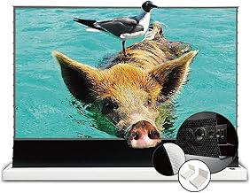 VIVIDSTORM 120-inch Perforated Electric Rising Projector Screen (S tier)