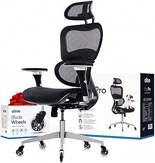 Oline ErgoPro Ergonomic Office Chair (B tier)