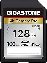 GIGASTONE 128GB SDXC V30 (C tier)