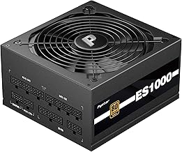 ES1000 1000W 80+ Gold Fully Modular ATX 3.0 (C tier)
