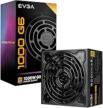 EVGA 1000 G6 80+ Gold Fully Modular (B tier)