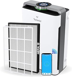 Turonic PH950 Air Purifier Humidifier Combo (C tier)