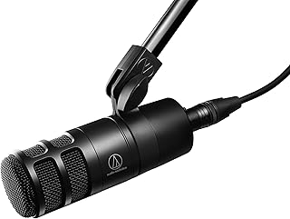 Audio-Technica AT2040 Hypercardioid Dynamic XLR Microphone (A tier)