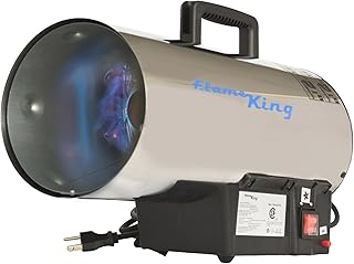 Flame King 60000 BTU Portable Propane Heater (B tier)
