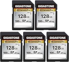GIGASTONE 128GB SDXC 5-Pack (C tier)
