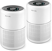 H13 HEPA Air Purifier 2-Pack (B tier)