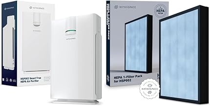 HATHASPACE HSP002 HEPA Air Purifier (D tier)