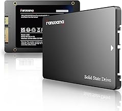fanxiang S101 1TB SATA SSD (C tier)