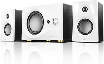 HiVi-Swans M10 Plus 2.1 Bookshelf Speakers (B tier)