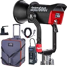 Aputure 600D LED Video Light (C tier)