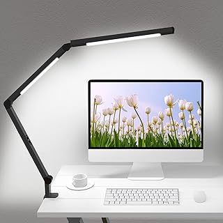 LED Desk Lamp with Clamp and Swing Arm (B tier)