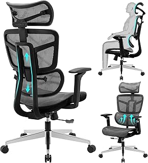 Ergonomic Office Chair High Back Mesh Adjustable Lumbar (C tier)