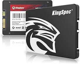 KingSpec 1TB SATA SSD (C tier)