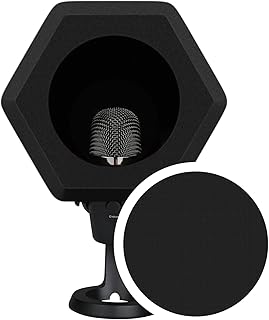 Microphone Isolation Ball with Pop Filter (C tier)