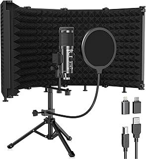 Studio Recording Microphone Isolation Shield with Pop Filter (D tier)