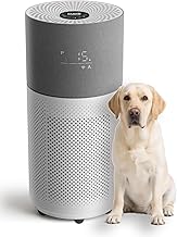 CleanForce HEPA Air Purifier Large Room (B tier)