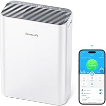 GoveeLife Smart Air Purifier (B tier)