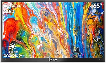 Sylvox 65-Inch Outdoor QLED 4K TV (B tier)