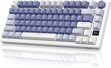 RK ROYAL KLUDGE M75 75% Wireless Mechanical Keyboard (C tier)