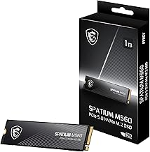 MSI Spatium M560 1TB Gen5 NVMe SSD (C tier)