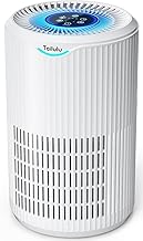 Tailulu H13 HEPA Air Purifier Large Room (C tier)