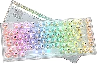 Womier 75% Wired Mechanical Keyboard (C tier)