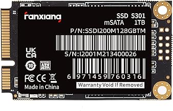 fanxiang S301 1TB mSATA SSD (C tier)