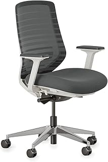 Branch Ergonomic Chair (B tier)